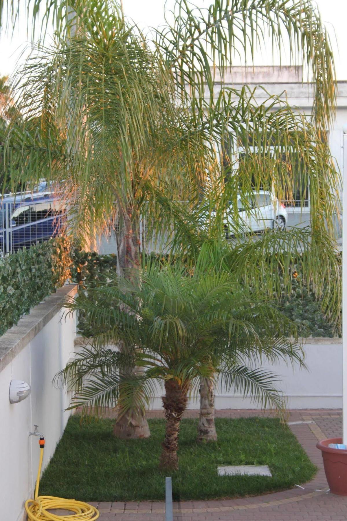 Kalinifta Residence Carpignano Salentino Exterior foto